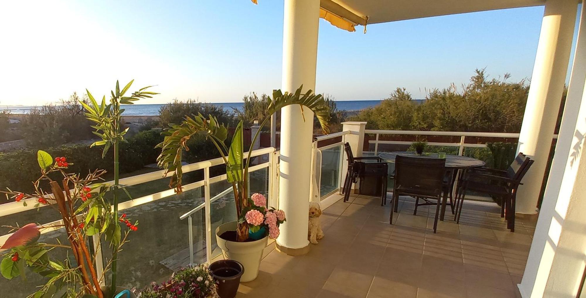 Beach View - Primera Linea Lujo Denia Exterior foto